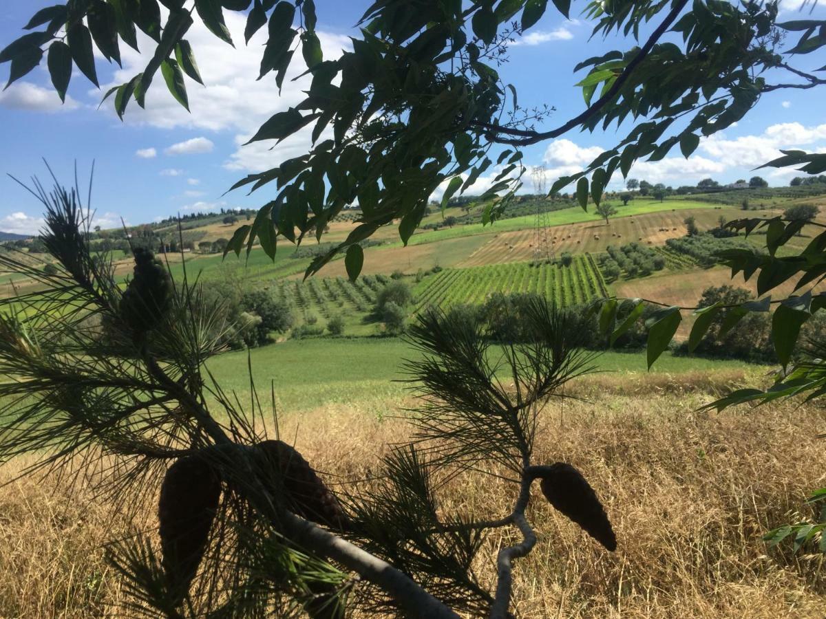 Poggio Alla Pietra 26 Porrona Extérieur photo